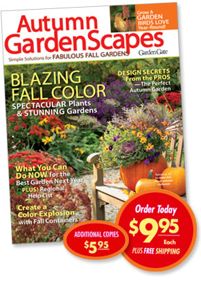 GARDEN GATE MAGAZINE COMPLETE GUIDE TO CONTAINER GARDENING (2016) FREE SHIP! GARDEN GATE MAGAZINE COMPLETE GUIDE TO CONTAINER GARDENING (2016) FREE SHIP!